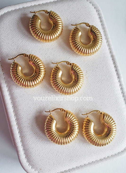 Mia hoops earrings